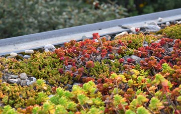 the cost of Fratton green roof installation