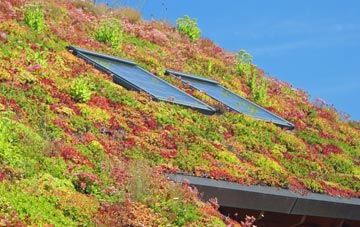 Fratton living roof systems